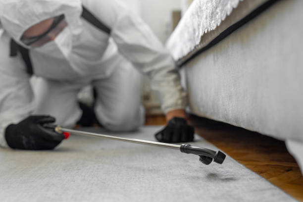 Professional Termite Control technician working in Castle Hills, TX